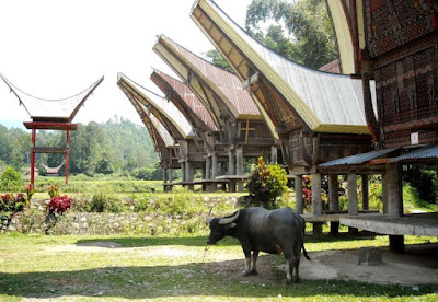 Contoh Desain Rumah Adat Sulawesi Selatan Contoh Desain Rumah Adat Sulawesi Selatan