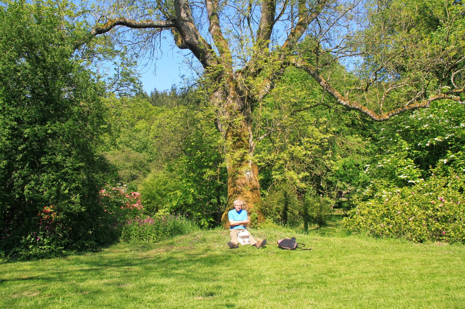 R&R.Natuurlijk Ronzon Ardennen Arboretum Robert Lenoir