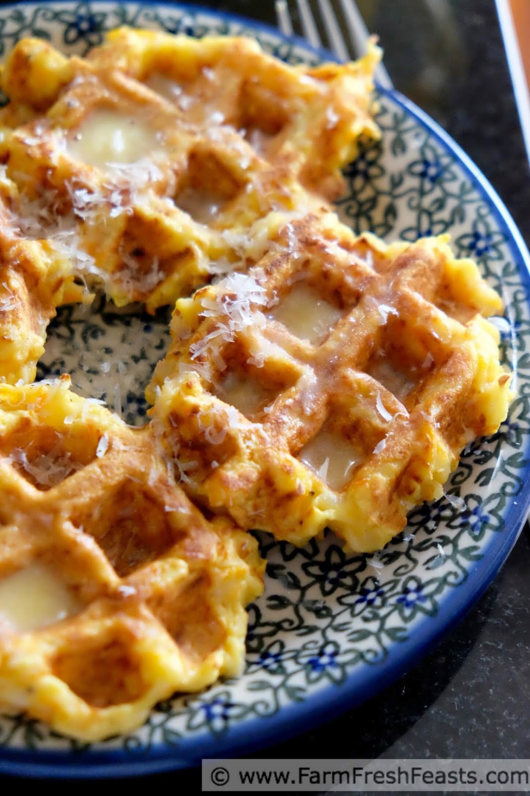 Farm Fresh Feasts Waffled Carrot and Turnip Fritters