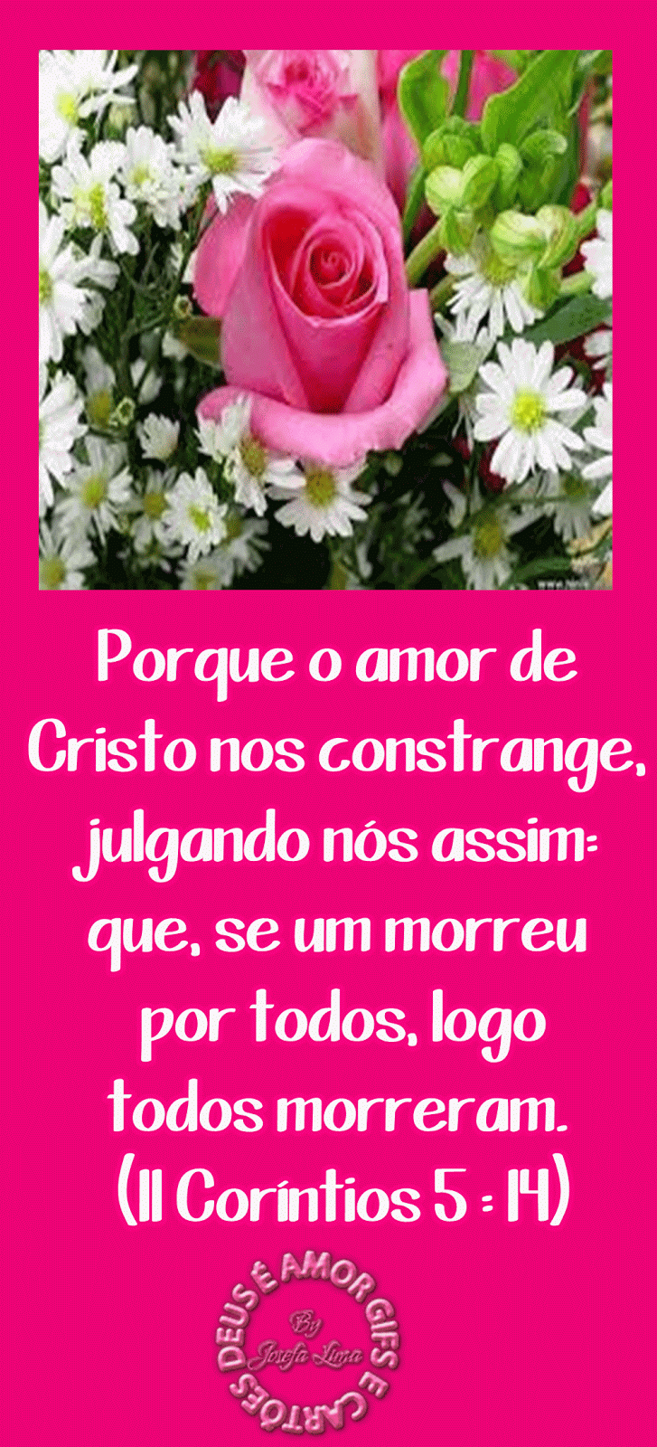 asd.gif