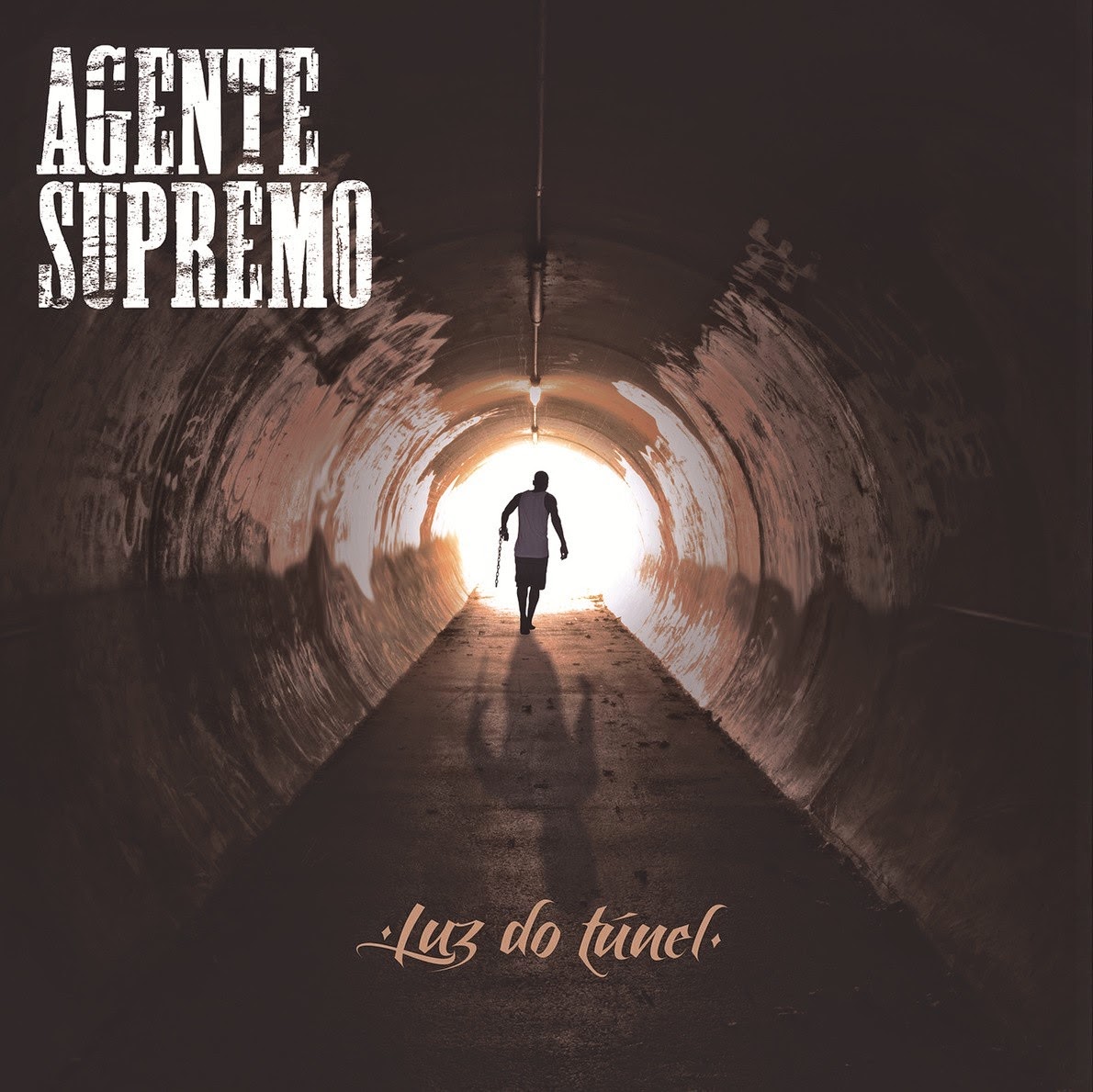 Agente Supremo – Luz do Túnel (2013)
