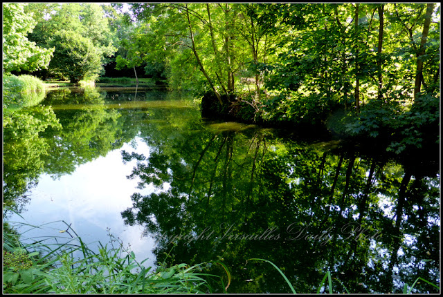 Parc Centre Spirituel Soeurs du Cénacle Versailles