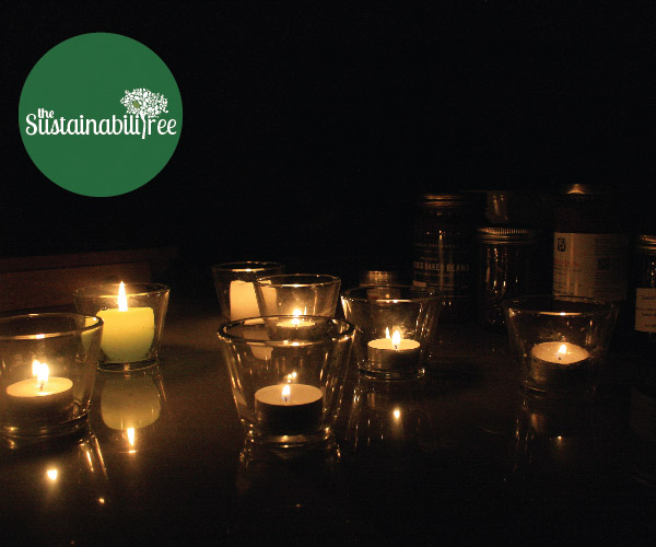 25 Things To Do This March 25th for Earth Hour The Sustainabilitree