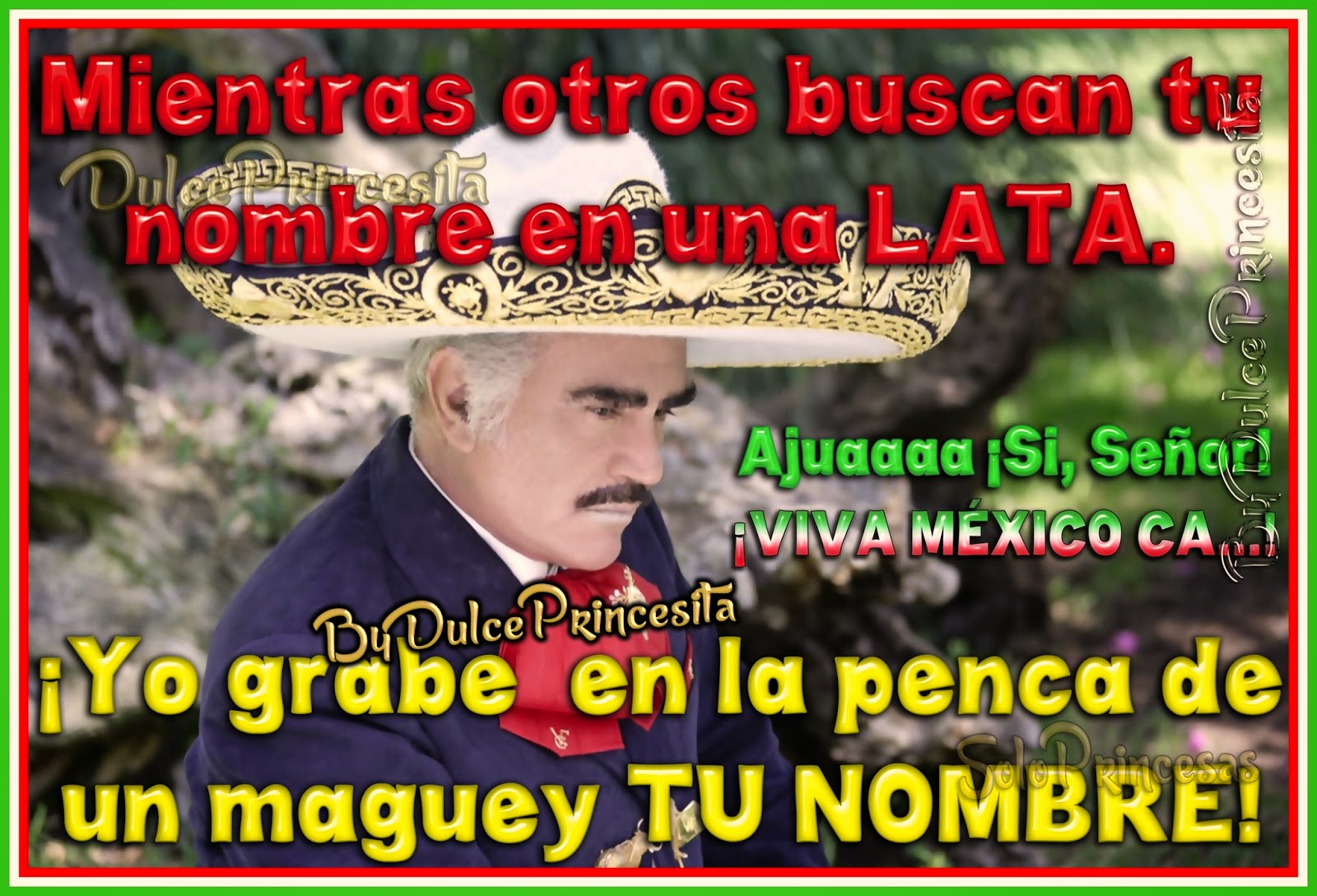 Imágenes y Carteles MIENTRAS OTROS BUSCAN TU NOMBRE EN UNA LATA, YO GRABE EN LA PENCA DEL