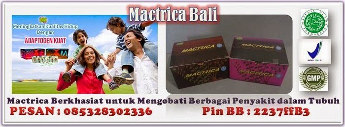 Jual Obat Herbal Mactrica untuk Wilayah Bali dan Sekitarnya