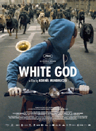 PELÍCULA WHITE GOD 2015