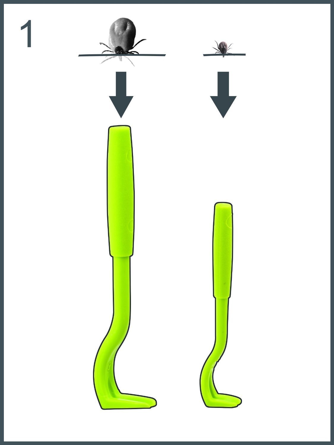 Life Hacks Creative Everyday Life Tips Best Tick Removal Tool for
