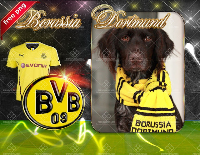 Marco para fotos del Borussia Dortmund