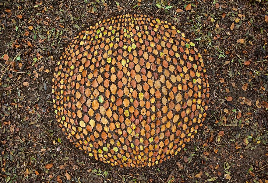 Artist Turns Natural Objects Into Mesmerizing Mandalas And Leaves Them For People To Discover Artist Turns Natural Objects Into Mesmerizing Mandalas And Leaves Them For People To Discover
