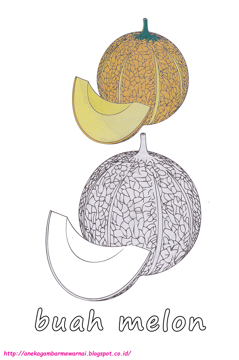 Featured image of post Cara Termudah Gambar Buah Untuk Mewarnai Anak Tk Dan contohnya