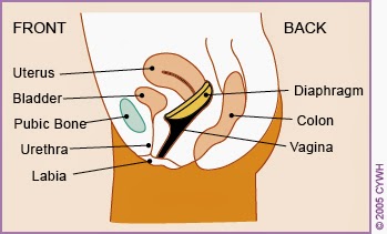 How Effective Are Sex Diaphragm 21