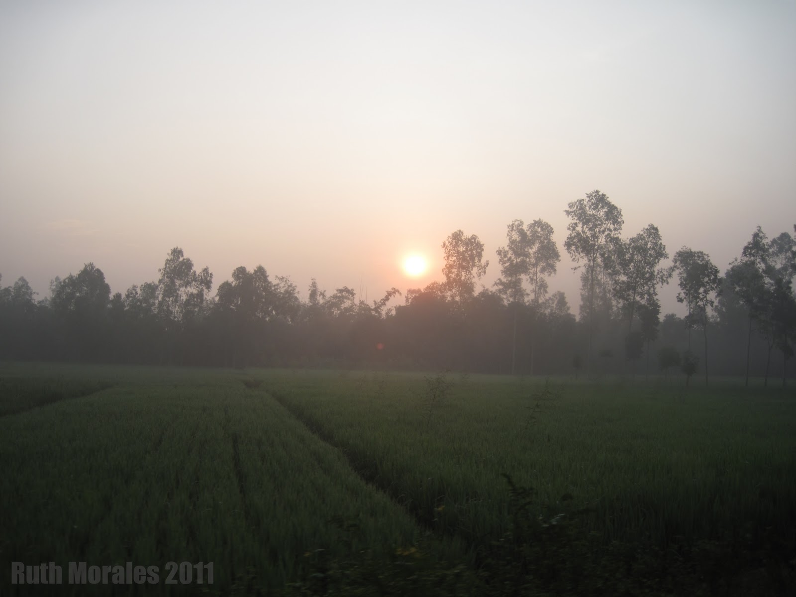 Food and Culture Mix Sunrise In Bangladesh