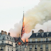 INSOLITE : Les abeilles de notre dame de Paris ont survécus aux flammes !