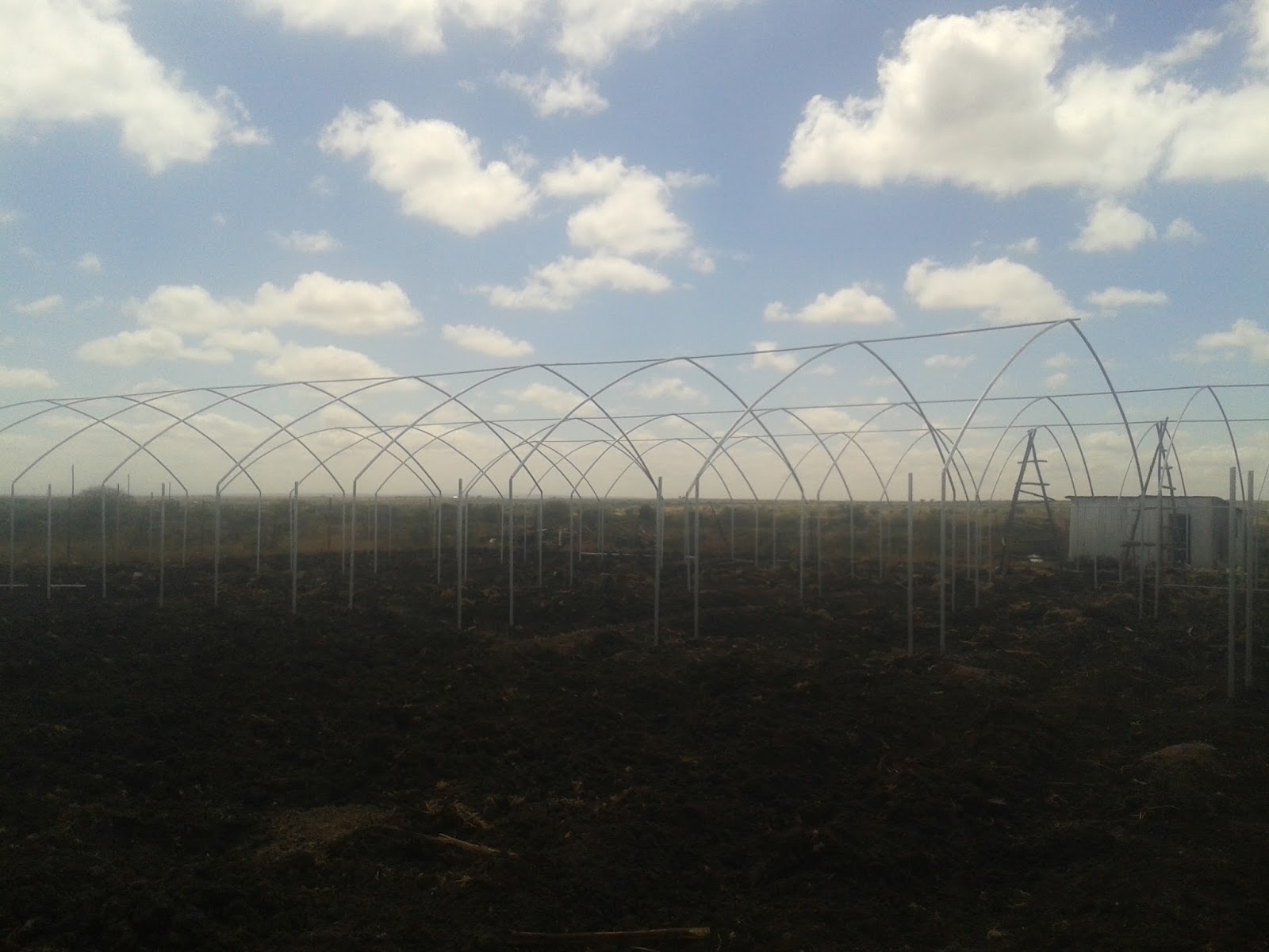 SANADREAN GREENHOUSES KENYA