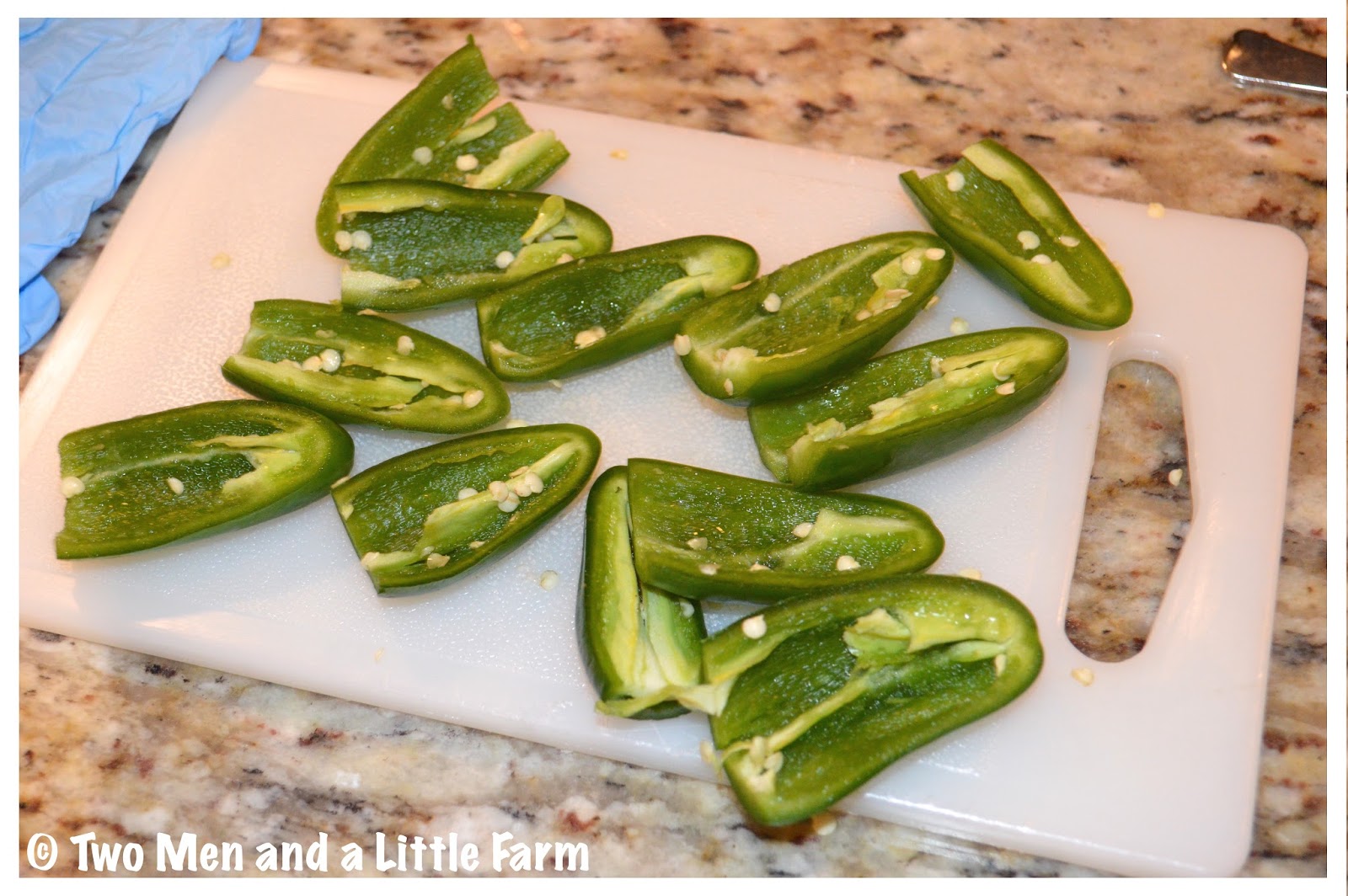 Two Men and a Little Farm FLASH FREEZING JALAPENOS