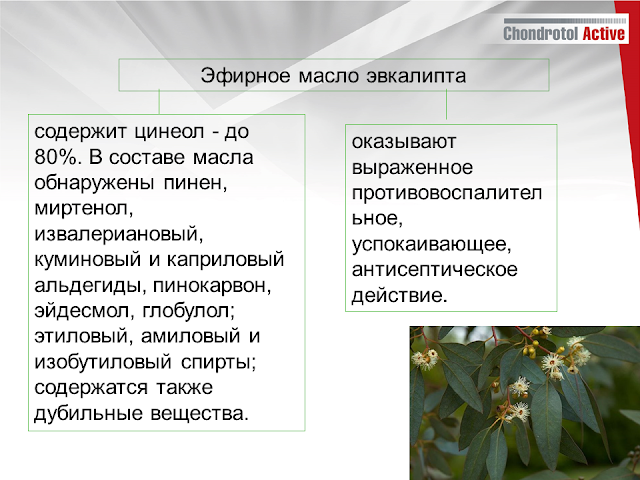 купить артлайф Артлайф Беларусь в Гомеле, Минске, Бресте, Могилеве, Витебске, Гродно