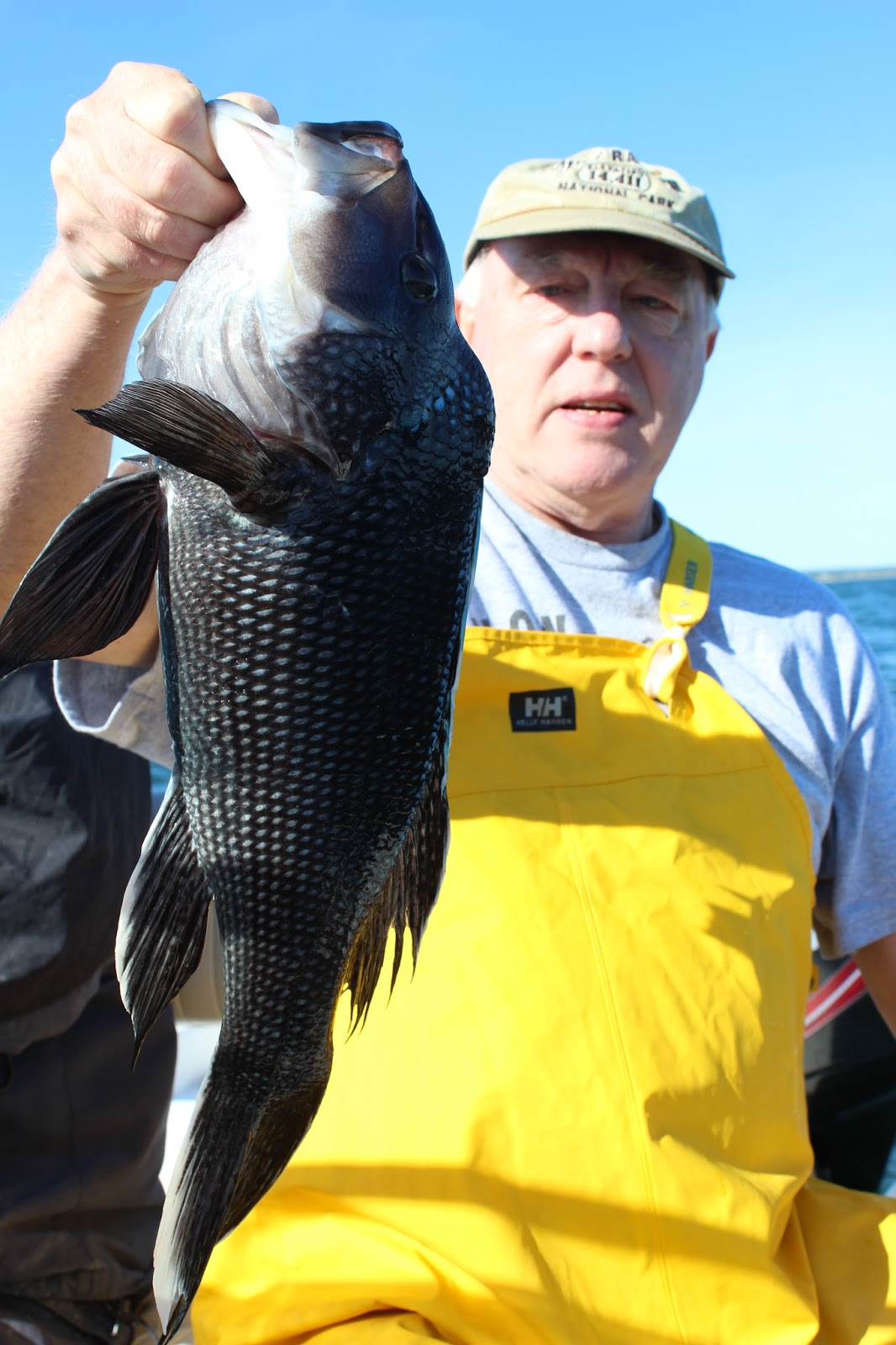 A Trip to Black Sea Bass Heaven