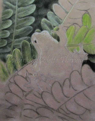 Amphibian Painting in pastel by wildlife artist Colette Theriault