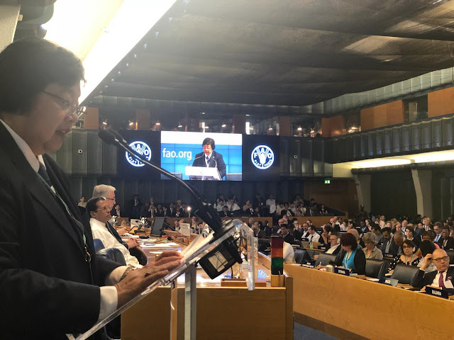 Menteri LHK Paparkan Berbagai Capaian SDGs Sektor Kehutanan di Forum FAO Menteri LHK Paparkan Berbagai Capaian SDGs Sektor Kehutanan di Forum FAO
