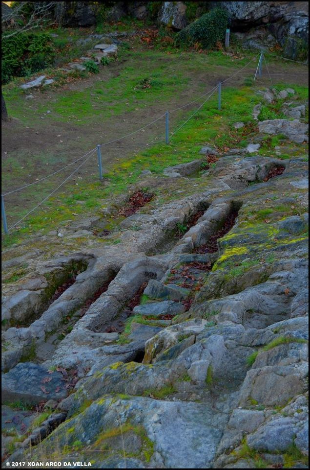 XOAN ARCO DA VELLA MECRÓPOLIS DE SAN VICTOR BARXACOVA