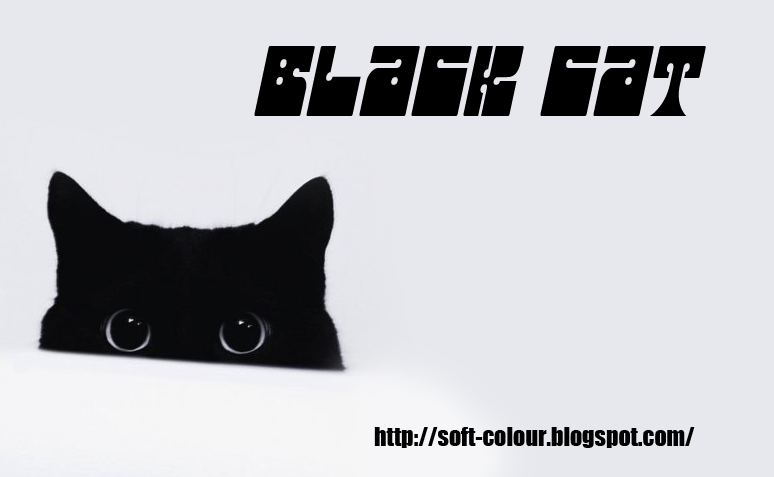 Black Cat