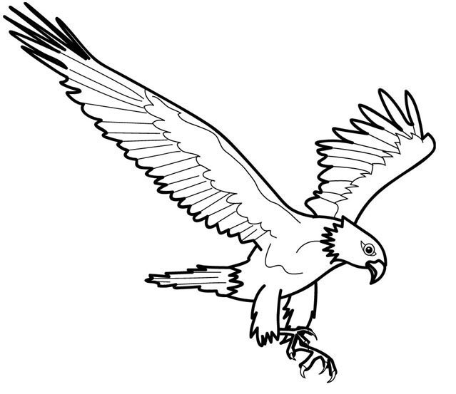 Mewarnai Gambar Burung Mewarnai Gambar Burung