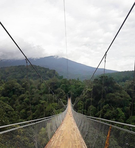 Harga Tiket Masuk Suspension Brige Situ Gunung Sukabumi Info Magetan