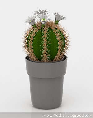 free 3d model cactus flower