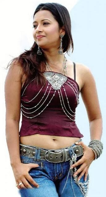 Bollywood Actress Hot Hot Indian Bengali Actress Reema Sen In Saree Photo Gallery