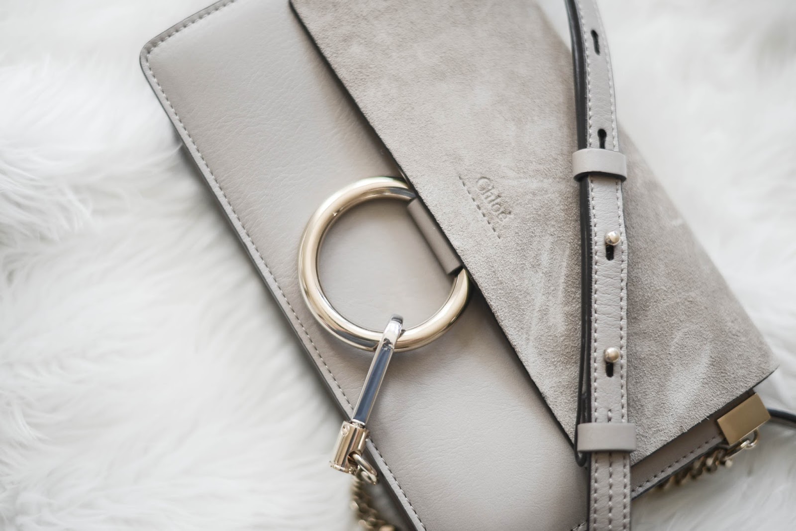 Chloé Faye Wallet on Strap