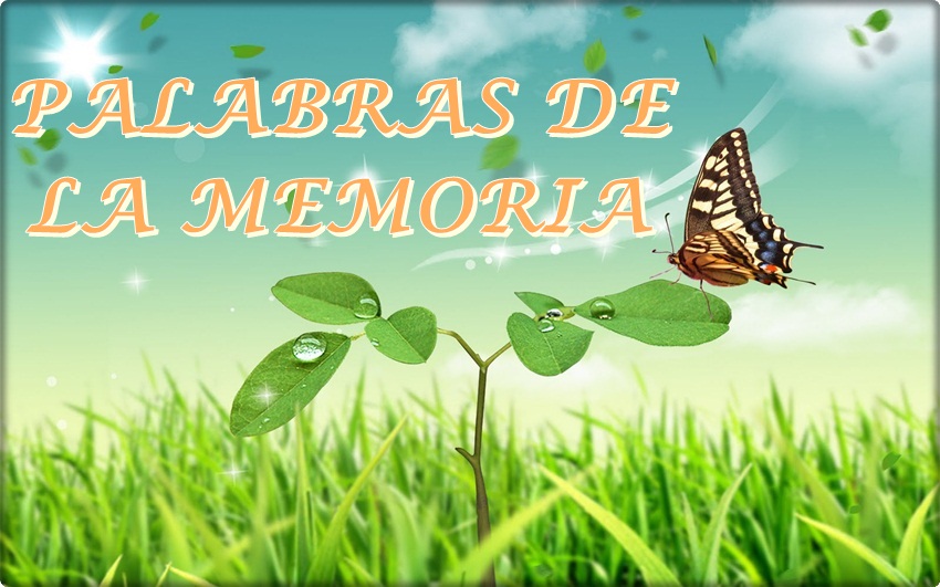 PALABRAS DE LA MEMORIA