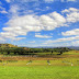 Visiting Yarra Valley
