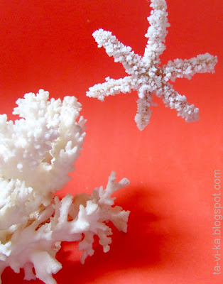 выращивание кристаллов соли growing salt crystals