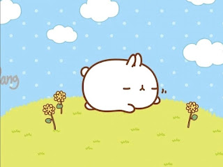 30+ wallpaper lucu hd terbaru 100+ Gambar ( WALLPAPER LUCU ), Background HD Keren dan Unik