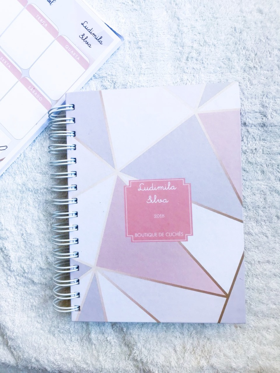 Resenha - Meu Planner 2018 Dicas de Planner 2018