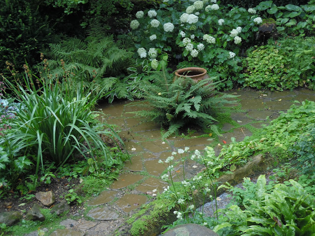 Water Garden, ogród w cieniu