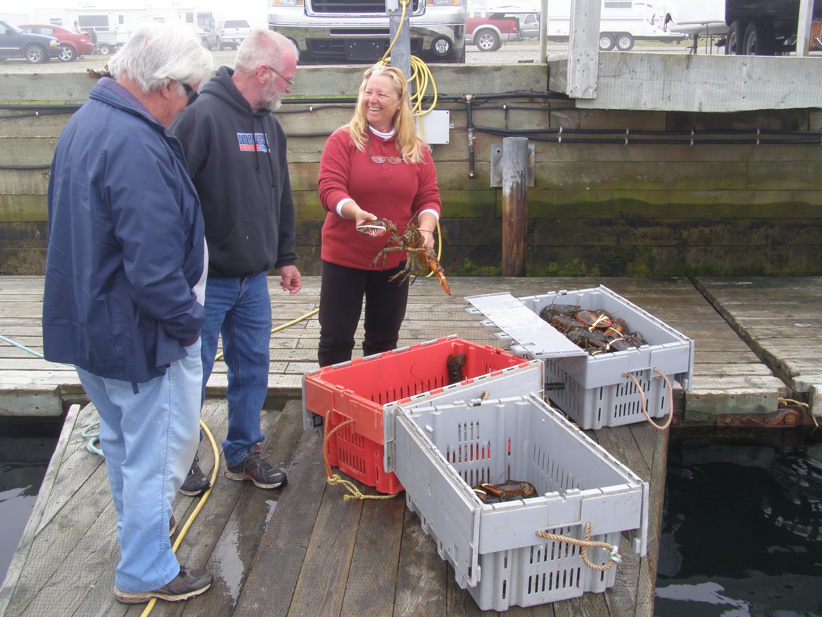 ADVNTURUNLIMITD 2011 Lobsters For Sale