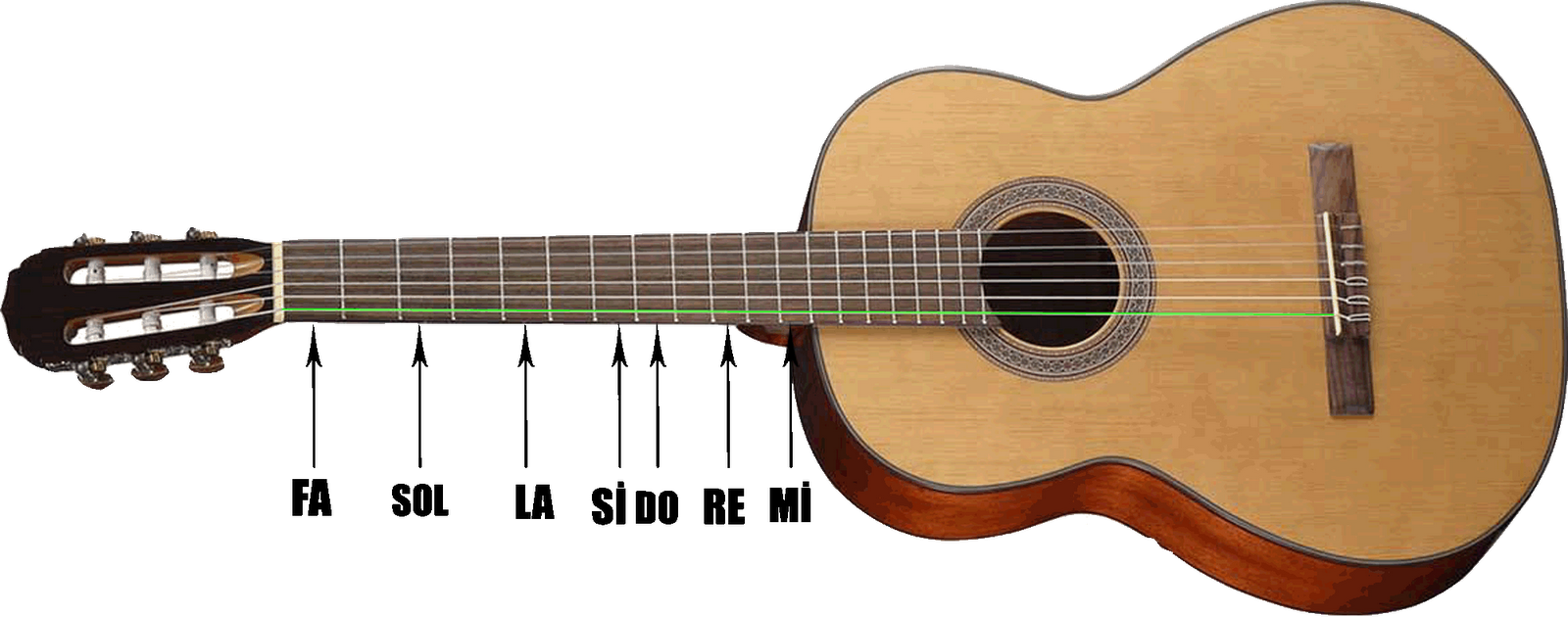 Gitarın yapısı ne olmalı Gitarın yapısı ne olmalı