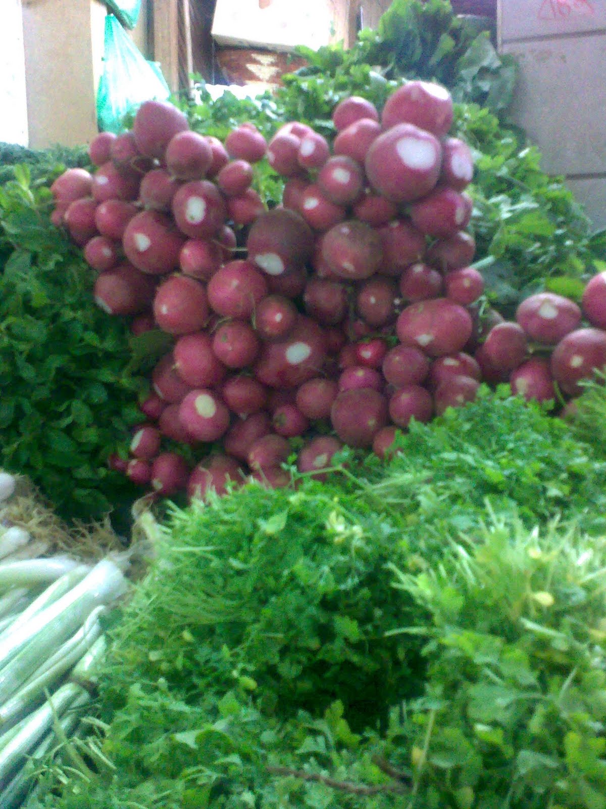 Mashmoom Souk Mubarkiya , for fruits & vegetables , Kuwait.