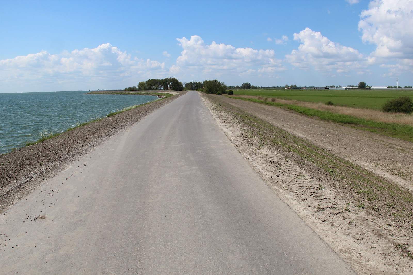 Terps, and the pink granite coast Golden age, golden day