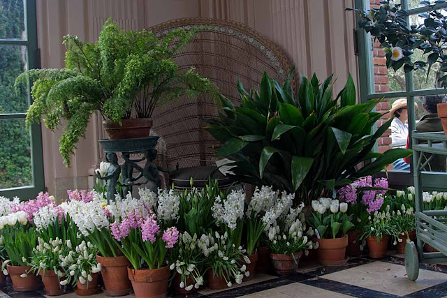Martha's Musings: March 2012