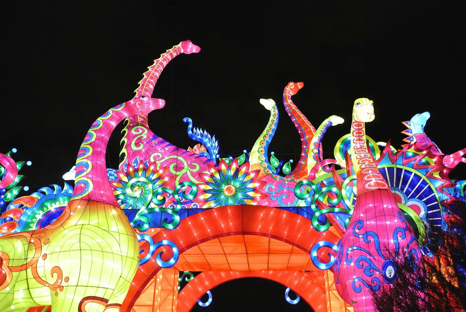 Jardin Des Plantes Evolution En Voie D'illumination Le blog de Gabrielle Aznar: Espèces en voie d'illumination ♦ Jardin des
