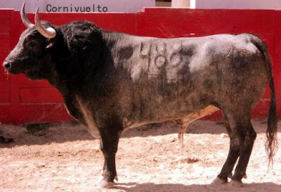 Diferentes razas de toros - Página 5 1012221_641821682601937_4084664885238448666_n