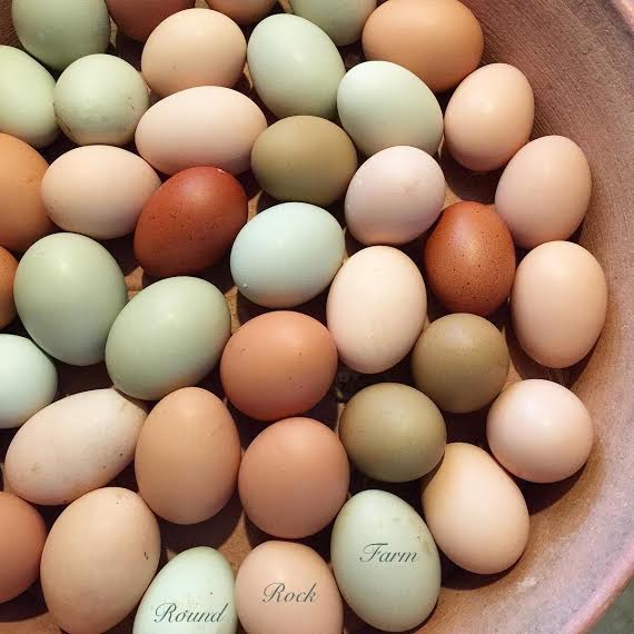 Naturally Beautiful Eggs.