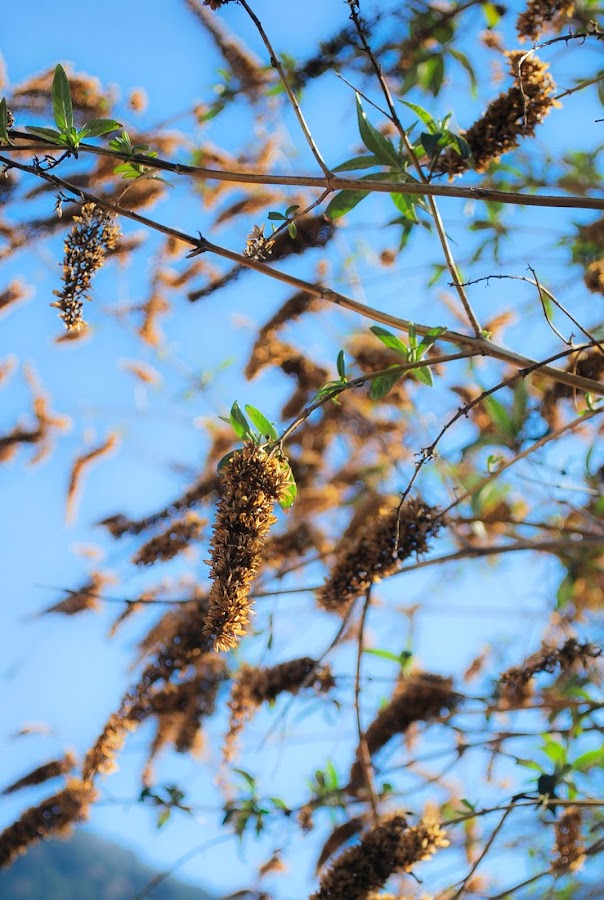 Escapada romántica a Caldea II por www.mylittlebrunch.com