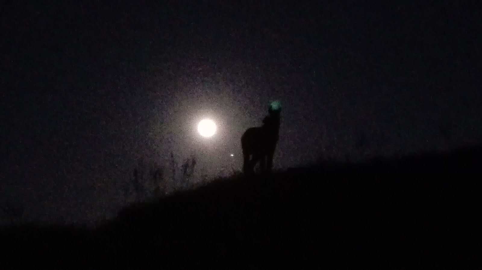 Paisaje Nocturno