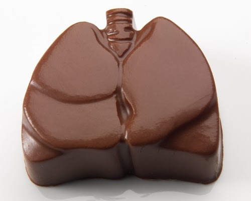 13-Lungs-Visual-Anatomy-Chocolate-Anatomy-Medical-Illustration-Studio-Tina-Pavatos-www-designstack-co