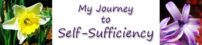 My Journey to Self-Sufficiency