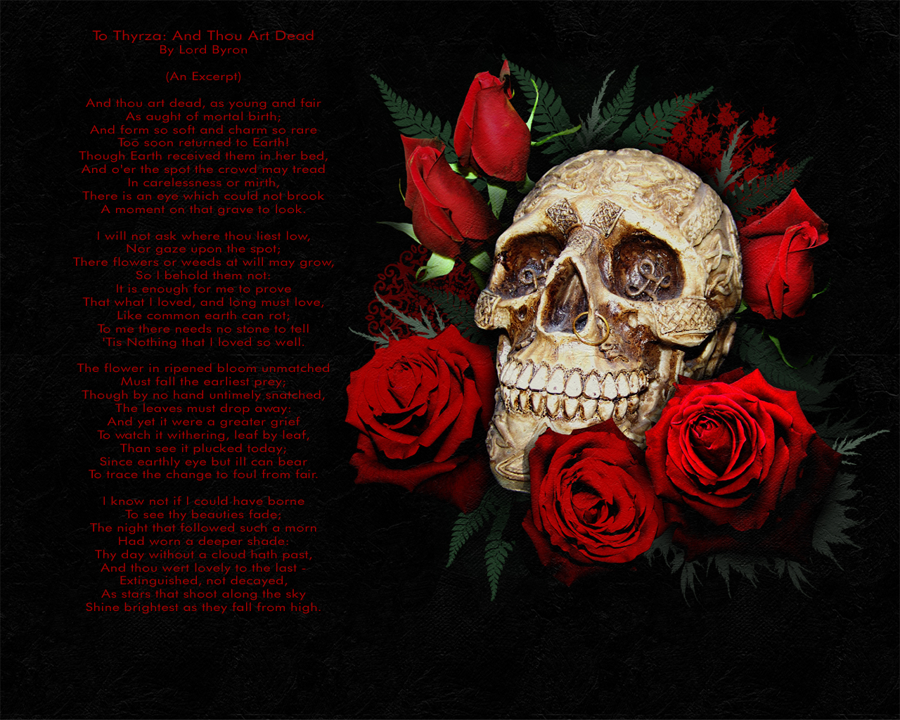 http://4.bp.blogspot.com/-Y2xxL3vyF2c/T9X14dWq3cI/AAAAAAAAANg/-YVSSD1iZlw/s1600/skull-wallpaper-desktop-3.jpg