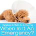 Dog Symptoms: When Is It an Emergency?